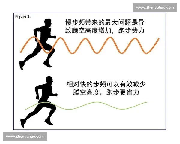 步频控制在运动训练与健康管理中的应用研究与实践探索 步频控制在运动训练与健康管理中的应用研究与实践探索